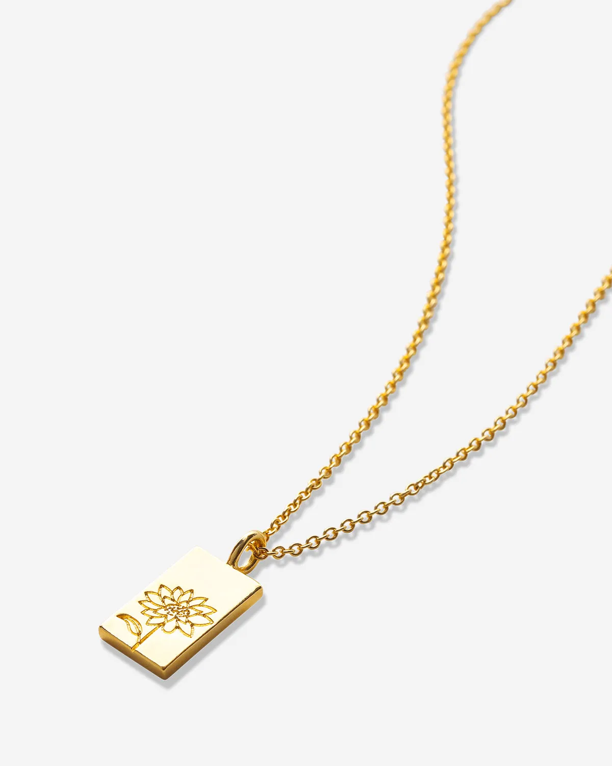 Chasing Light Necklace