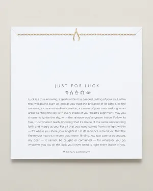 Just For Luck Wishbone Necklace